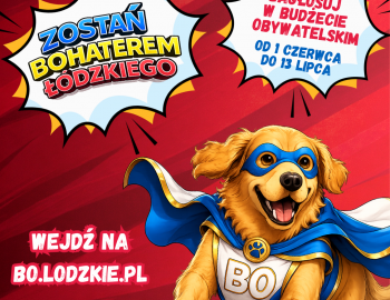 Głosowanie - projekt W019