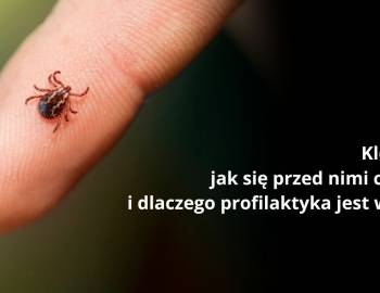 Kleszcze – jak się przed nimi chronić i dlaczego profilaktyka jest tak ważna?