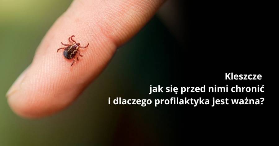 Kleszcze – jak się przed nimi chronić i dlaczego profilaktyka jest tak ważna? 