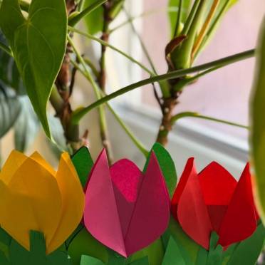 Projekt bez nazwy (4).jpg